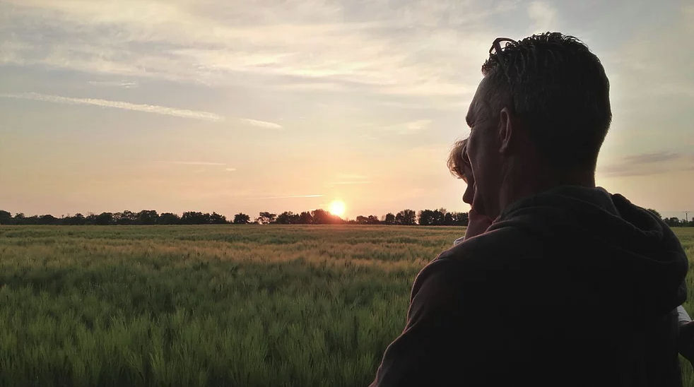 Sunset over the fields